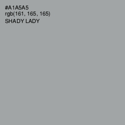 #A1A5A5 - Shady Lady Color Image